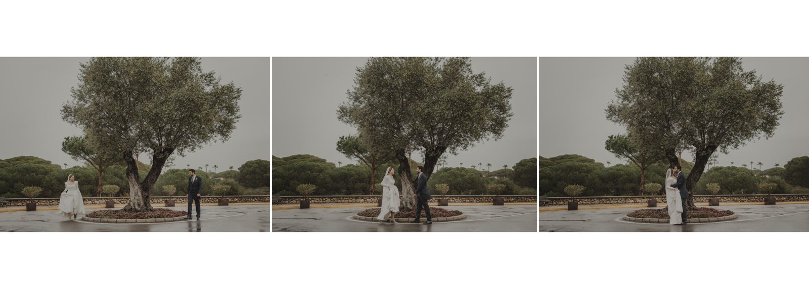 Imagen de Fernando y ana 34