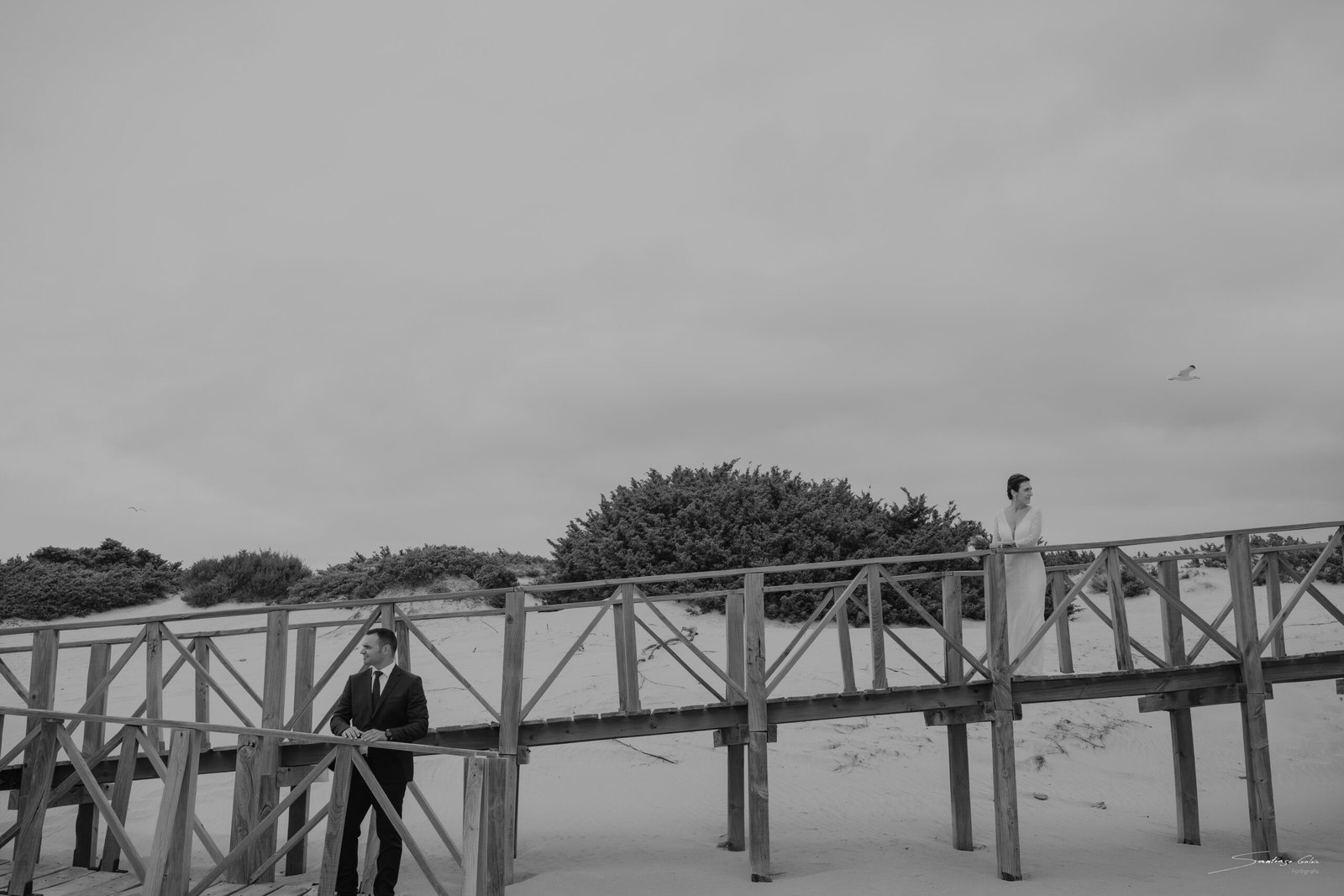 Imagen de  sgf1171bn