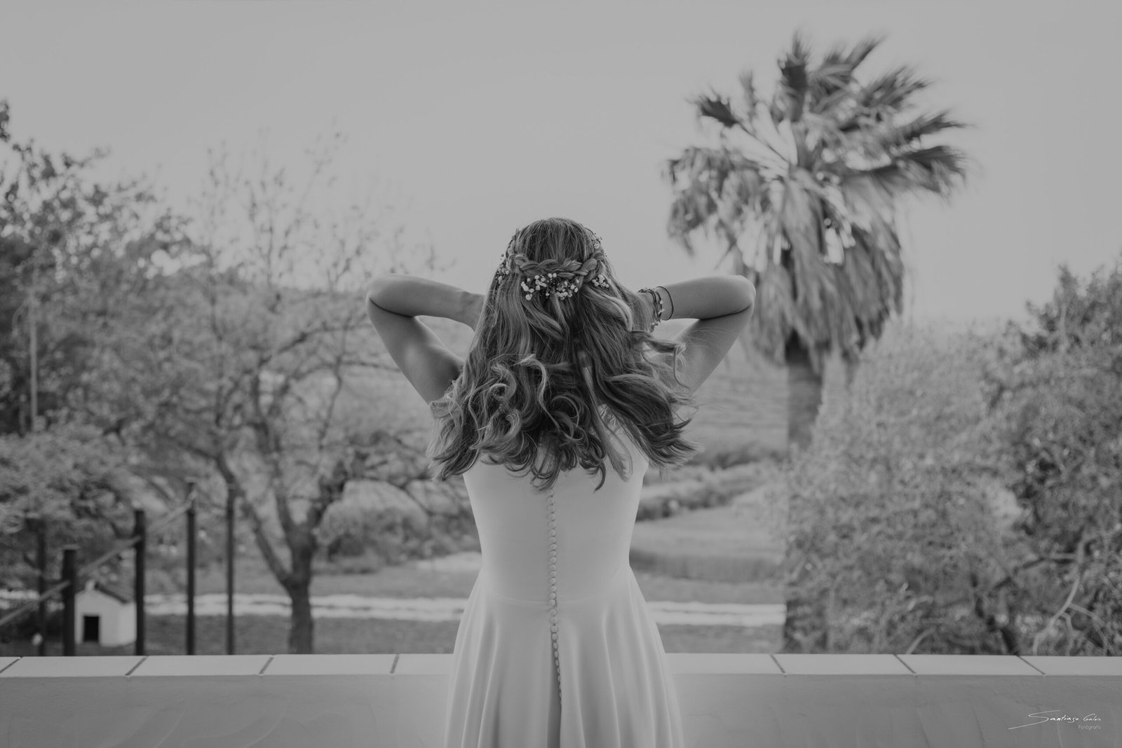 Imagen de  sgm0356bn